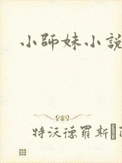 小师妹小说