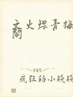 文火煨青梅笔趣阁