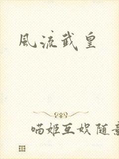 风流武皇