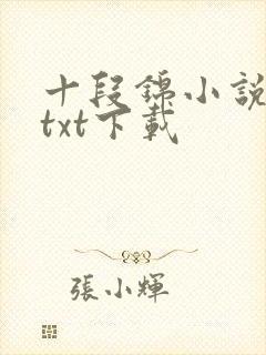 十段锦小说全本txt下载