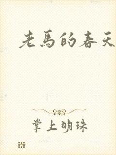 老马的春天敏静