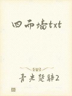 四面墙txt