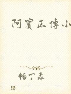 阿宾正传小说