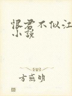 恨君不似江楼月小说