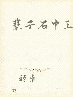 孽子石中玉
