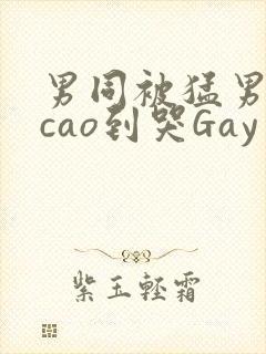 男同被猛男房东cao到哭Gay
