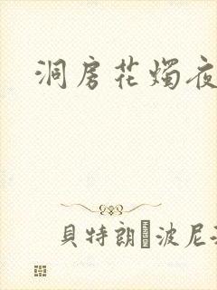 洞房花烛夜小说