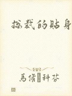 总裁的贴身女佣