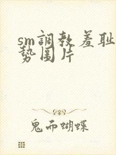 sm调教羞耻姿势图片