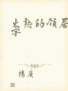 火热的领居中文字