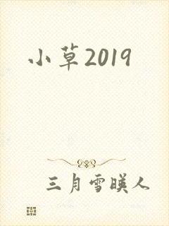 小草2019
