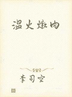温火炖肉