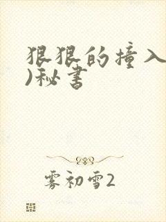 狠狠的撞入(h)秘书