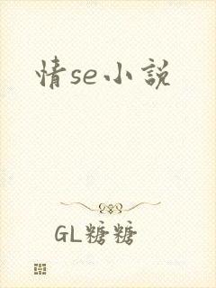 情se小说