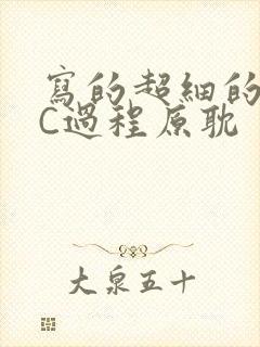 写的超细的多肉C过程原耽