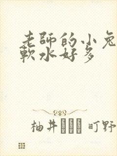 老师的小兔子好软水好多