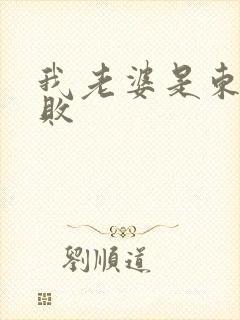 我老婆是东方不败