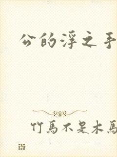 公的浮之手中字