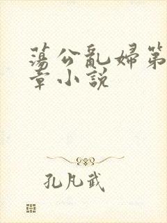 荡公乱妇第51章小说