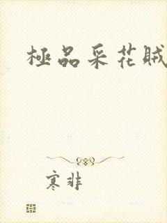 极品采花贼