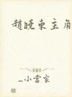 赵晓东主角小说