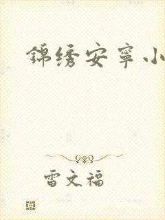 锦绣安宁小说