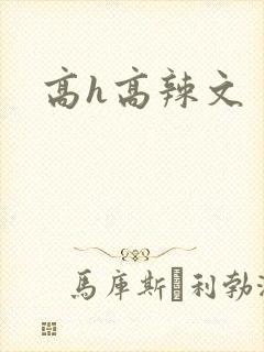 高h高辣文