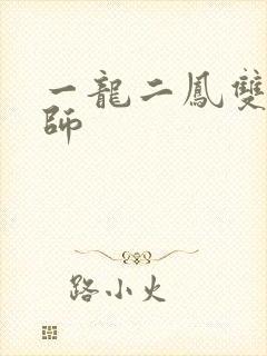 一龙二凤双飞老师