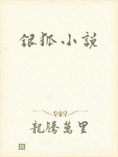 银狐小说