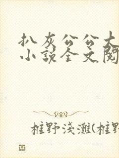 扒灰公公大杂烩小说全文阅读