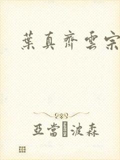 叶真齐云宗免费