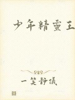 少年精灵王