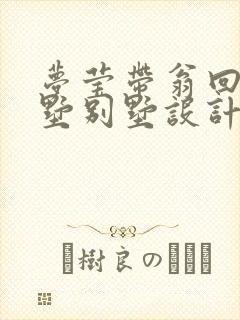 梦莹带翁回乡别墅别墅设计