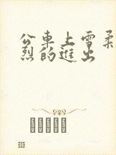 公车上雪柔被猛烈的进出