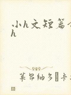 小h文短篇合集h