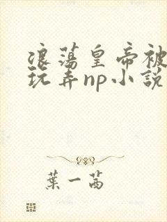 浪荡皇帝被多人玩弄np小说