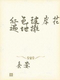 红色彼岸花花瓣遍地撒