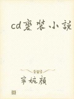 cd变装小说
