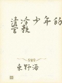 清冷少年的严厉管教