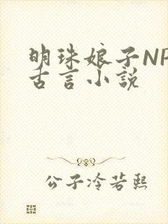 明珠娘子NPC古言小说