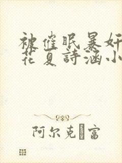 被催眠暴奸的校花夏诗涵小说