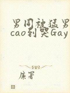 男同被猛男房东cao到哭Gay