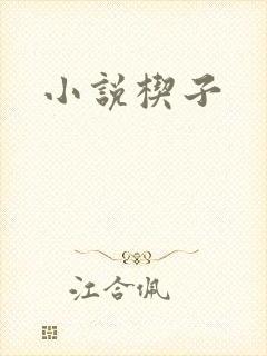 小说楔子