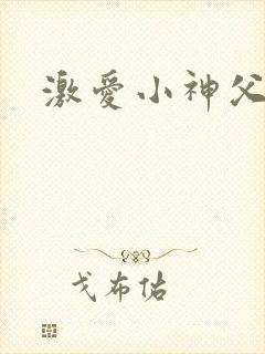 激爱小神父