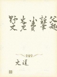 野火小说父女全文免费笔趣阁