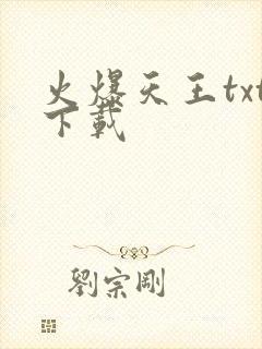 火爆天王txt下载