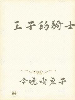 王子的骑士小说