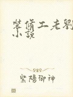 装修工老刘林雪小说