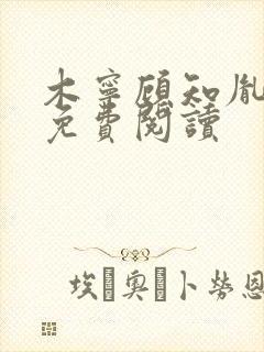 木宁顾知胤小说免费阅读