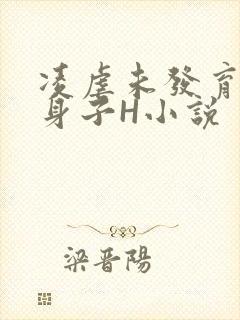凌虐未发育的小身子H小说